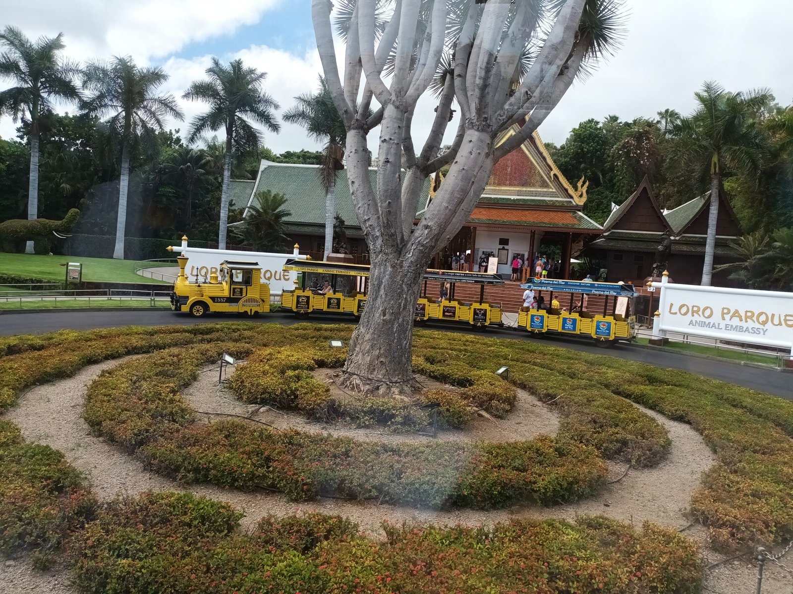 20220617_111731 на посещение в Loro Parque